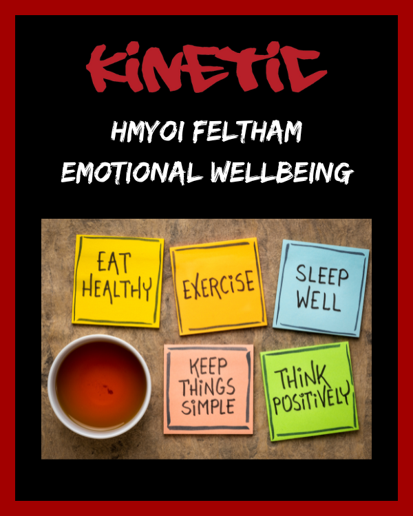 HMYOI Feltham – Emotional Wellbeing